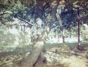 Me in a tree